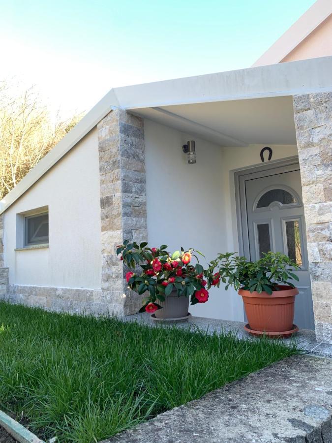Markovic Village Apartments Ulcinj Eksteriør bilde